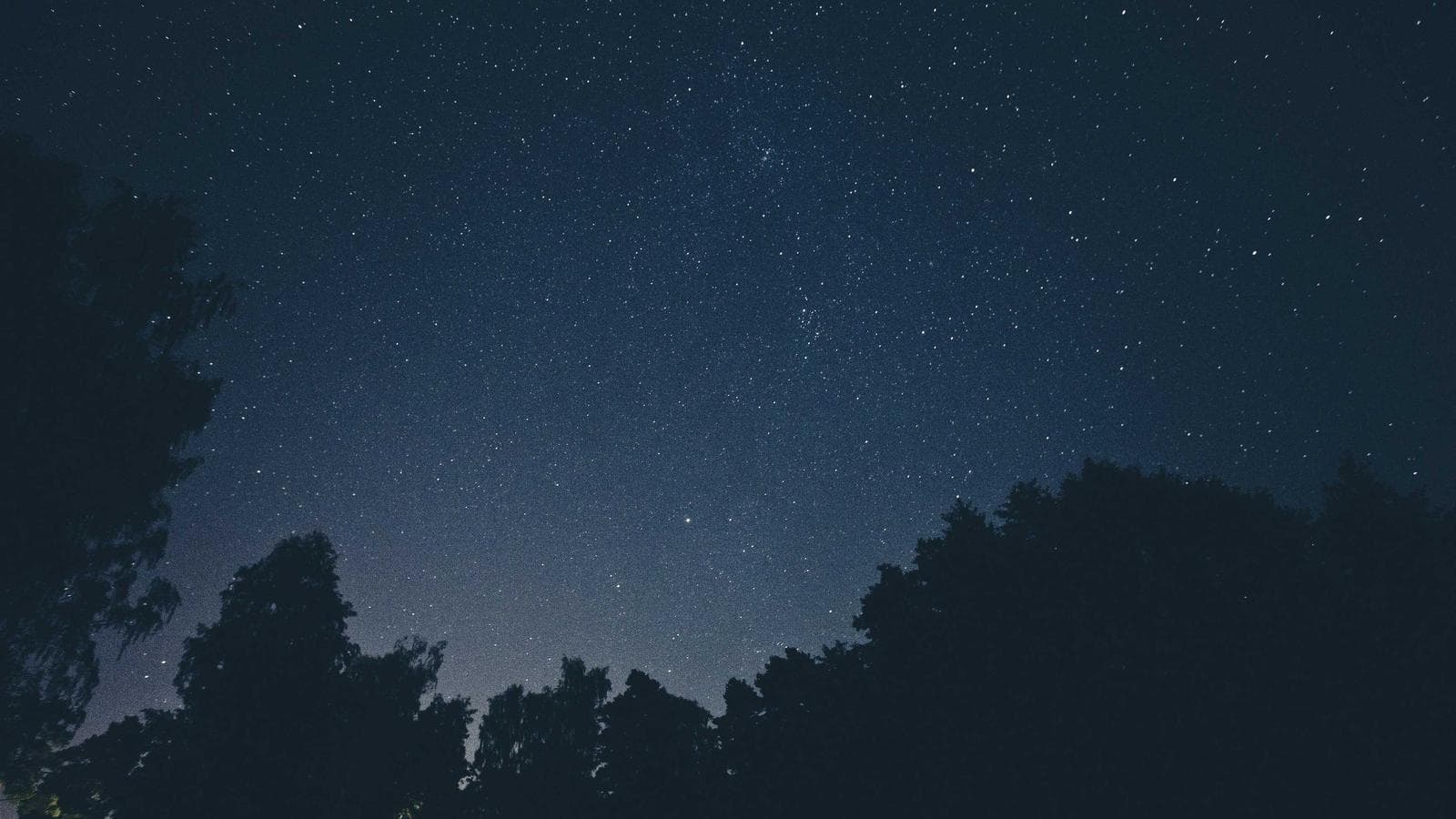 Diagnose. Build. Guard. — How We Think About Brand Process